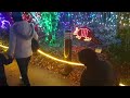 ZOOLIGHT! WONDERFUL ZOOLIGHT DI TACOMA