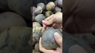 Muita gente consome sem saber #yt #plantas #receitas #frutas #verduras #legumes #natural #saude #yt