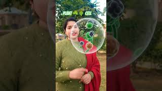PLANT ☘️ CELL #biology #ncert #upboard2027#study