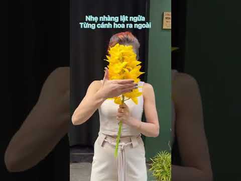 Video Hoa Sinh Nhật Hay Khai Trương Chọn Bình Hoa Địa Lan Có... - youtube