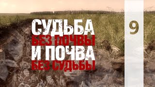 КТО МЫ? || СУДЬБА БЕЗ ПОЧВЫ И ПОЧВА БЕЗ СУДЬБЫ | 9