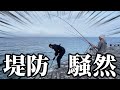 【北海道】【釣り】座布団級が釣れまくる‼️