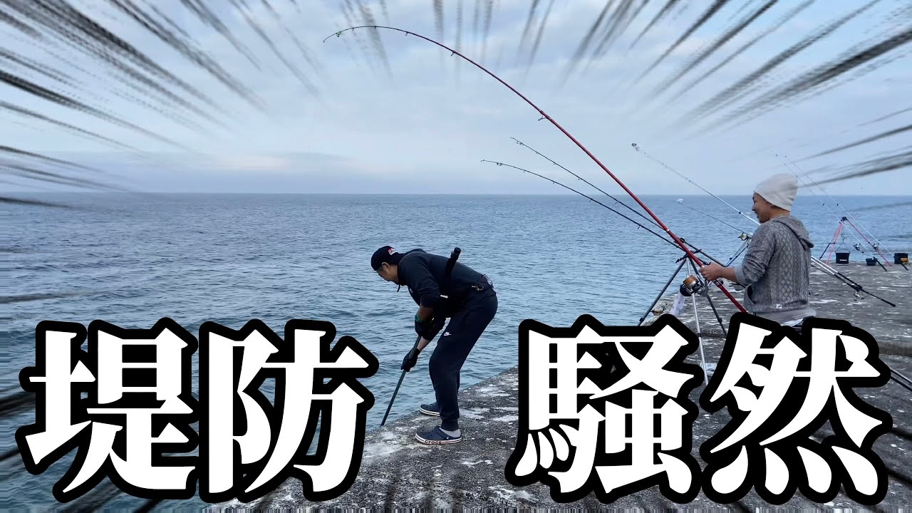 【北海道】【釣り】座布団級が釣れまくる‼️