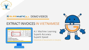 Document Understanding: Extract Data from Vietnamese Invoices with 100% Superb Accuracy and Speed