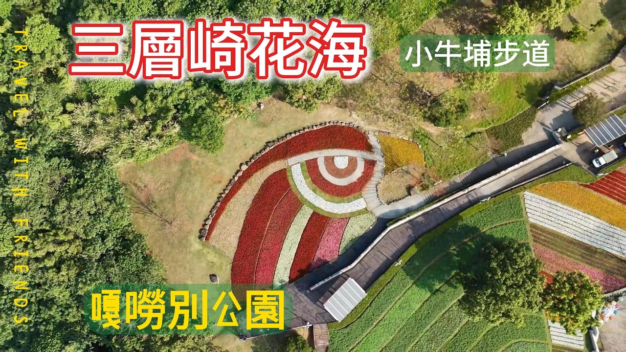 2026北投三層崎花海爆美現場！最新花況實拍｜順遊優質小牛埔步道