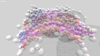 Agent Based Sphere Packing for AMS