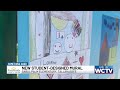 Something Good: Sabal Palm Elementary unveils art piece that proves ‘community is family’