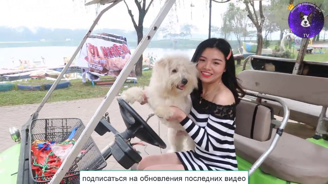 Красивая ебля в машине