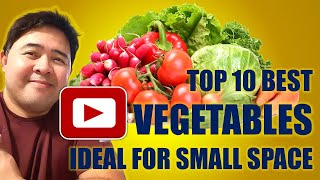 TOP 10 BEST VEGETABLES IDEAL FOR SMALL SPACES