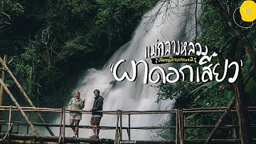 [Vlog] หนีเมืองมาพักใจที่แม่กลางหลวง เดินป่าผาดอกเสี้ยว | แปปเดียวเดี๋ยวมา [cc]