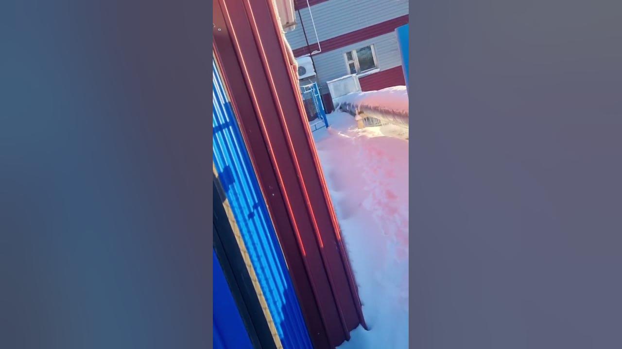 Зайка_Сорумайка :) Ни кого не бояться смелые зайцы ;) - YouTube