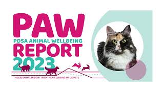 2023 PDSA Animal Wellbeing (PAW) Report | Key Findings About Cats by PDSA 180 views 1 year ago 1 minute, 34 seconds