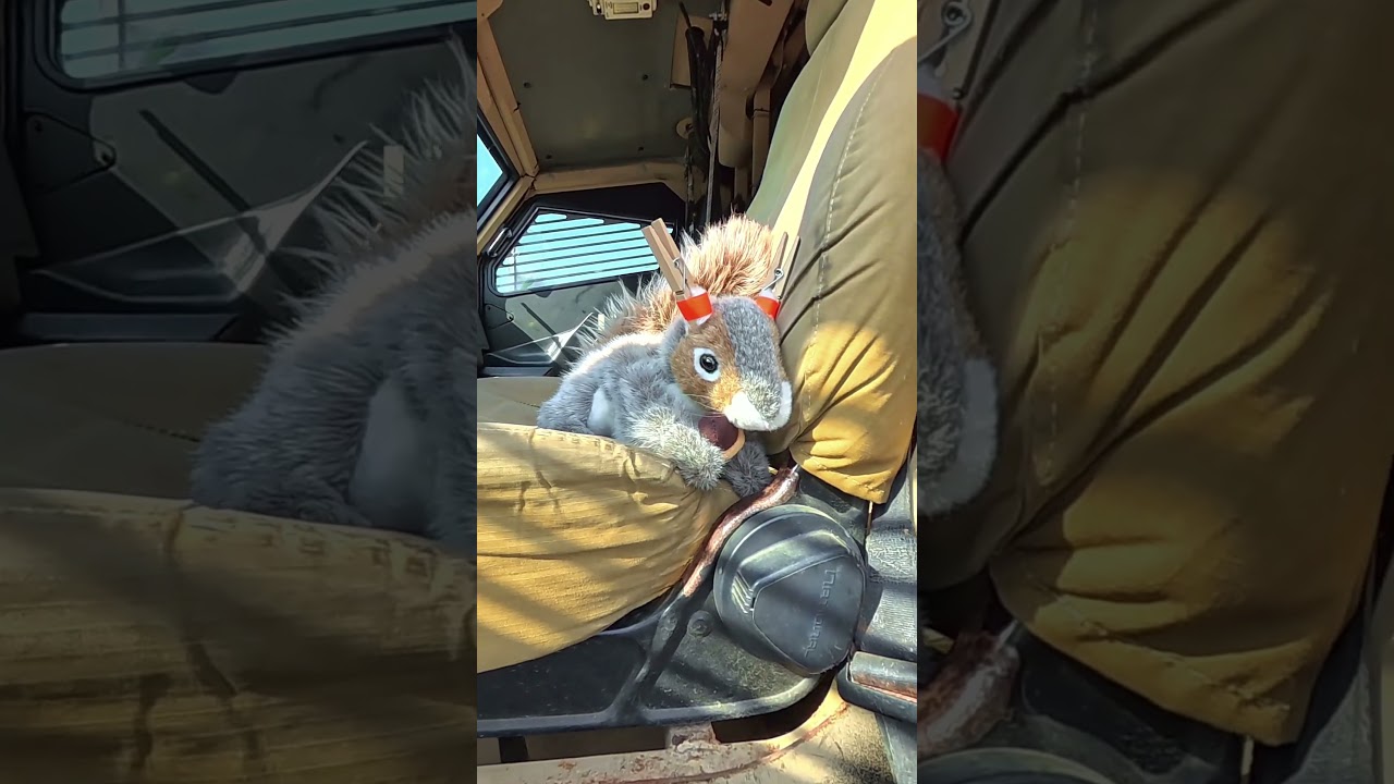 Chestnut Takes the Wheel: Sheriff SWAT Vehicle Adventure! 🐿️🚓 