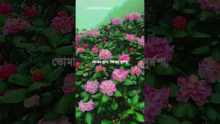 আল্লাহ তাআলা বলেন #islamicvideo #viral #foryou