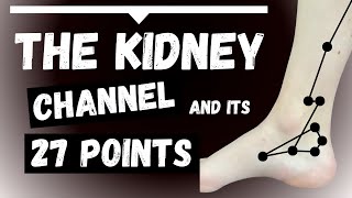 Kidney Channel: 27 Acupuncture Points (functions, locations) #acupuncture