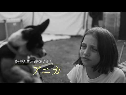 動物と話せる少女アニカと、その能力を頼りに生計を立てる家族 映画『アニカの伝言』予告編