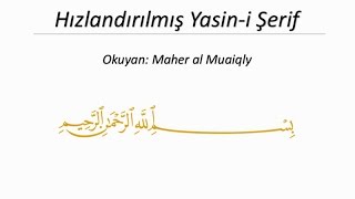 Hızlandırılmış Yasin-i Şerif (7 dk) Kabe imamı Maher el Muaiqly Resimi