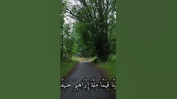 استمع 🗣️الآن إلى💫 أعذب ✨تلاوة قرآن🥹 بصوت💦 ماهر 🥹المعيقلي #قرآن #المصحف #دويتو