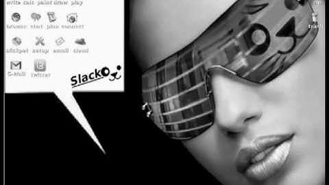 Puppy Linux Security