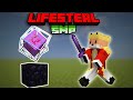 Taking over this LIFESTEAL SMP !