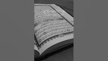 القرآن الکریم..سورة الفتح..بصوت القارئ عبدالرحمن المسعد #القرآن_الكريم #عبدالرحمن_مسعد ❤️🥀