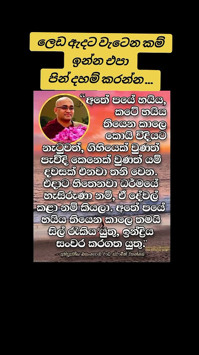 ලෙඩ ඇදට වැටෙන කම්ඉන්න එපා පින් දහම් කරන්න ...🪷🙏 #buddhamotivation #motivation #lordbuddha #quotes