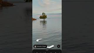 Floating tree found on Google Earth