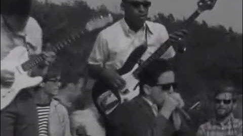 Butterfield Blues Band - Newport Folk Festival 1965