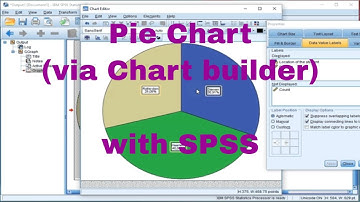 SPSS - Pie chart (via Chart builder)