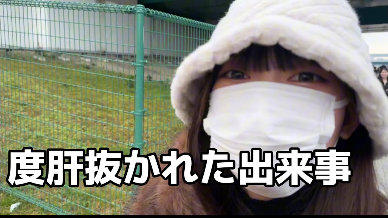 東海オンエアさんのライブに行ってきました