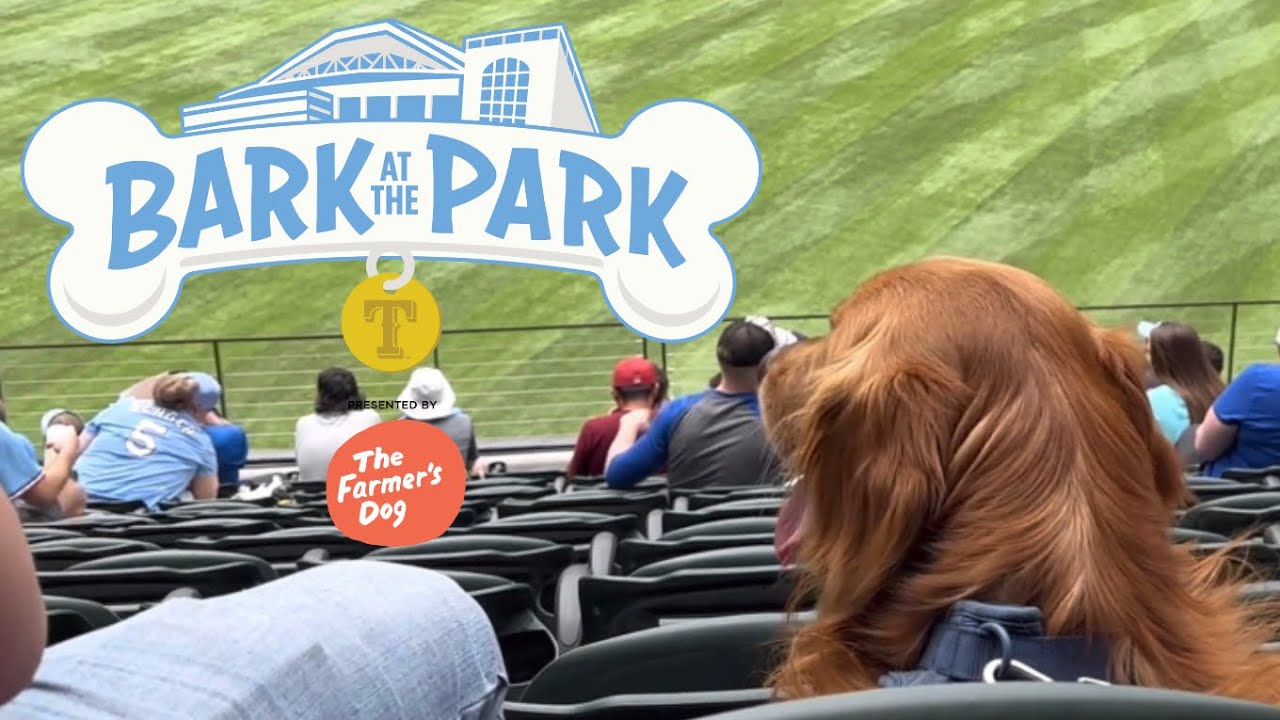 Dogs at a Baseball Game Texas Rangers Bark at the Park YouTube