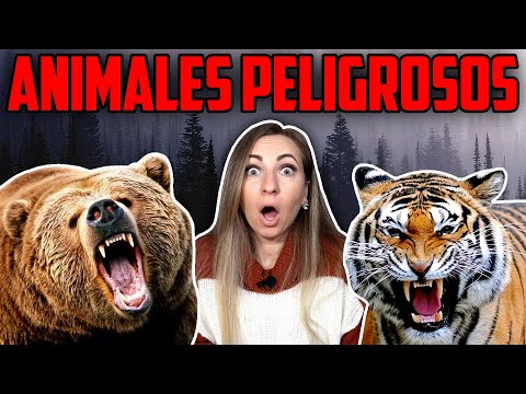 Video: Animales únicos De Rusia