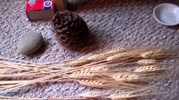 Casting a Lammas circle (1 of 7)