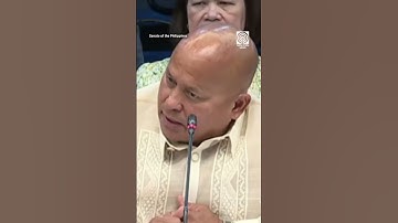 Sarah Discaya sinabing 2016 nagsimula sa DPWH flood control projects