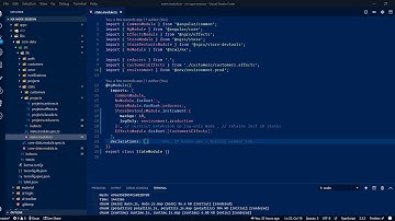 NGRX Integration Dev Tools