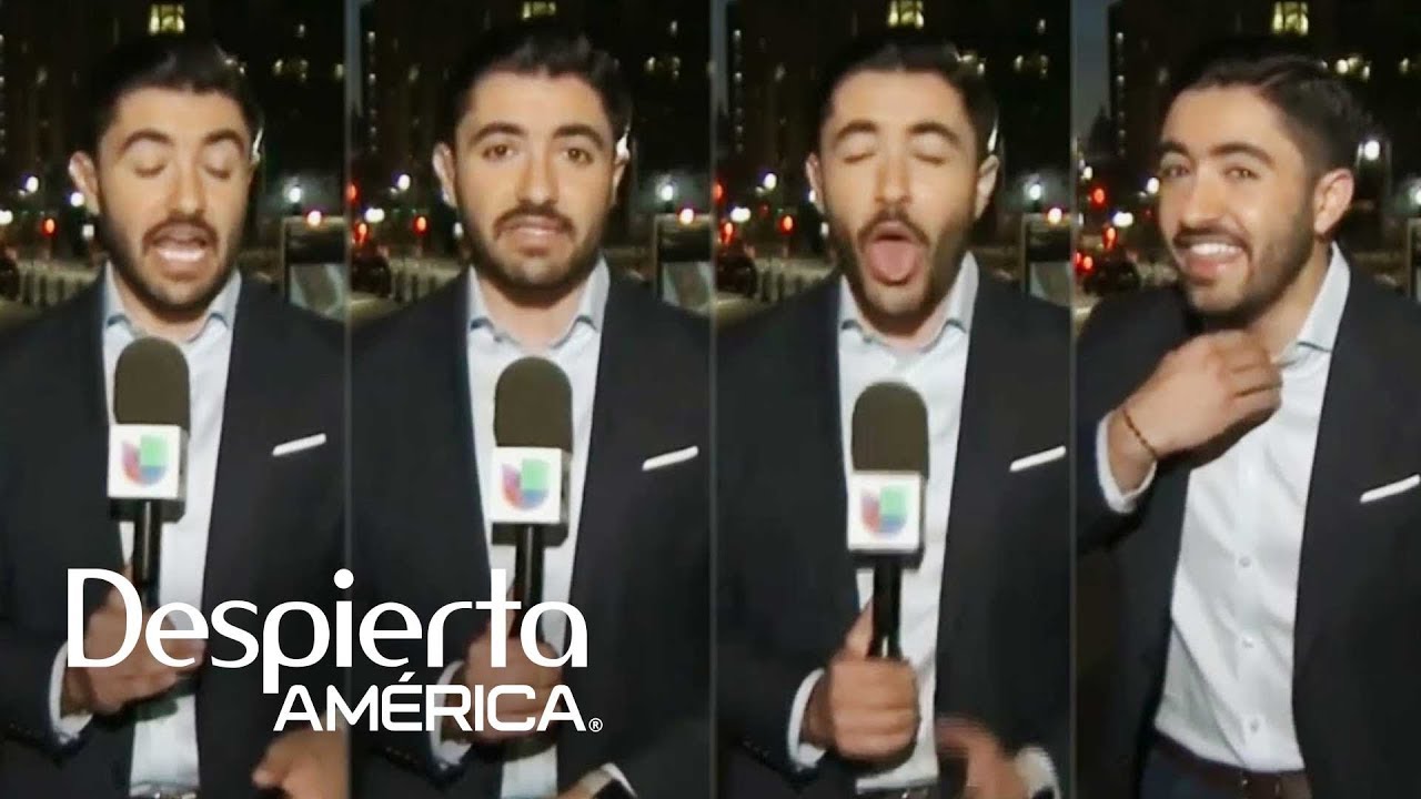 Periodista de Univision se traga una mosca en plena transmisión en vivo justiciar