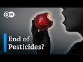 Can we feed our population without synthetic pesticides?