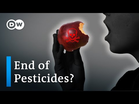 Video: Ar be pesticidų yra tas pats, kas ekologiškas?