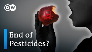 Can we feed our population without synthetic pesticides?