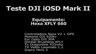 DJI iOSD Mark II