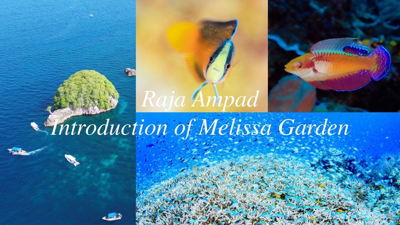 ５分で紹介　メリッサガーデン/ラジャアンパット introduction of 