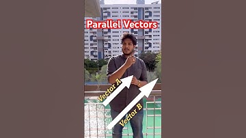 Parallel Vectors | Angle Between Parallel Vectors | What are Parallel Vectors? | #vector #parallel