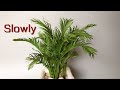 ABC TV | How To Make Golden Cane Palm Tree Paper (Slowly) - Craft Tutorial