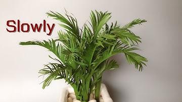 ABC TV | How To Make Golden Cane Palm Tree Paper (Slowly) - Craft Tutorial