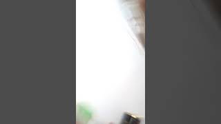 La Pelada De Chistofher Malazques Palomino