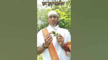 खंडित बेलपत्र अर्पण क्यों ना करें?#reel #belpatra #bholenath #shiva #shots #trending #shiv #mahadev