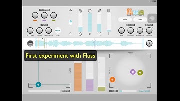 Fluss Granular Synth / FX - First Wonderful Experiment