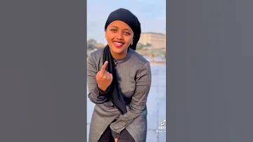 Leenco Guddina Oromo Oromo Haacaaluuhundeessaa Andualem Gosa Andualem Oromo Tiktok 