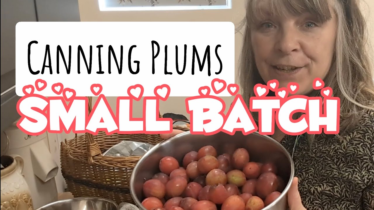 Steam Canning Plums INSTANT Pot, EASY Preserving canning YouTube