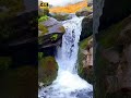 💧💦 🌊 Say goodbye to insomnia with this sound #sleepaid #shorts #relaxing